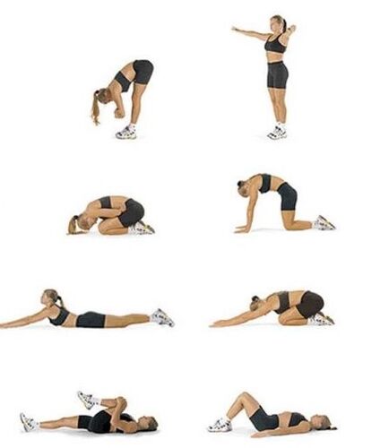 Exercices permanents